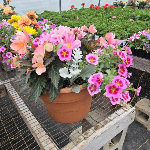Outdooor patio Planter Designers choice