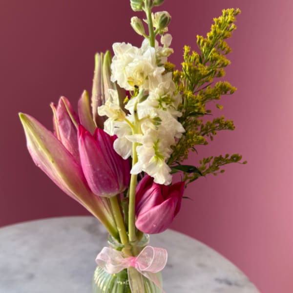 Spring Muse