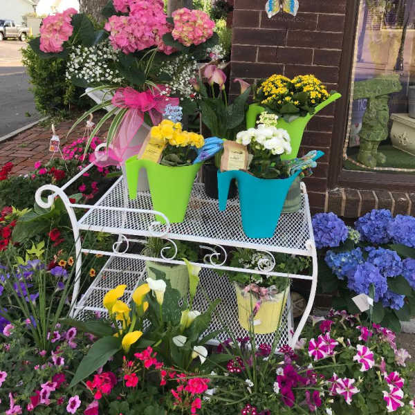 Colorful potted flowers arranged on a white metal stand outside a shop