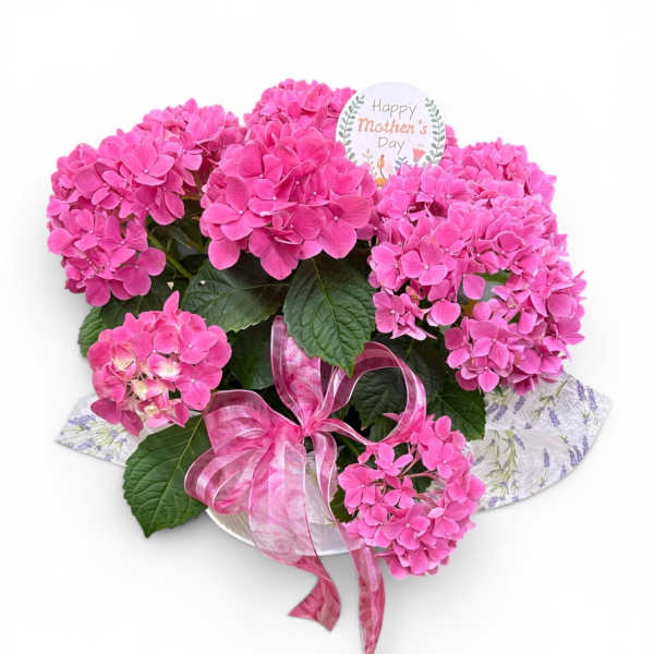 Hydrangea Centerprice Bowl