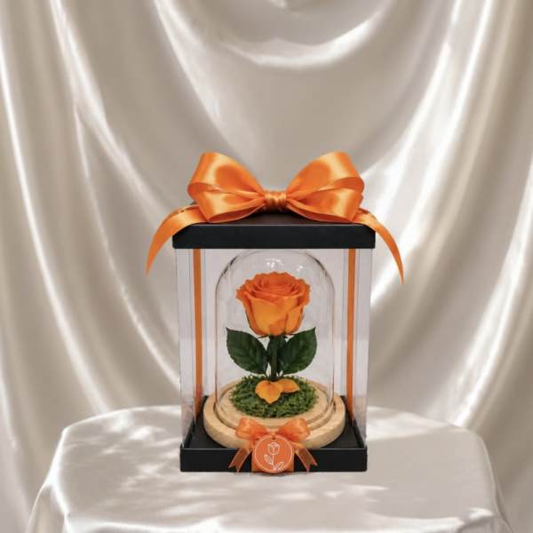 Forever Rose – Orange (Height: 6.69 ")