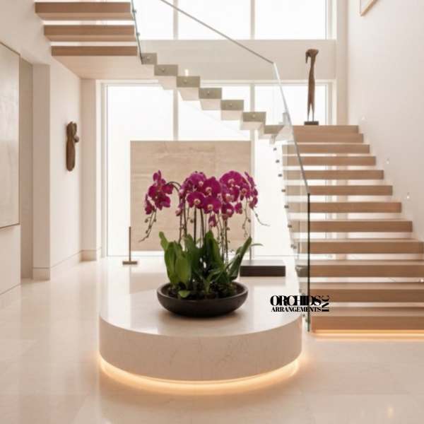 Potted purple orchids in a shallow black bowl on a pedestal
