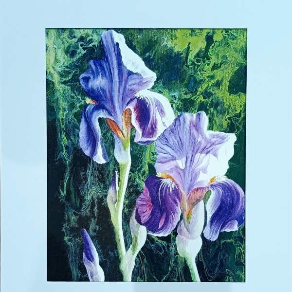 Two purple and white iris blooms against a dark green background
