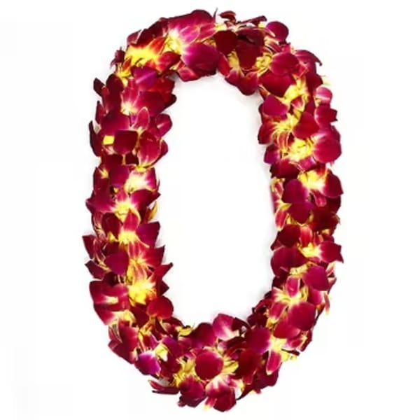 USC double orchid Lei