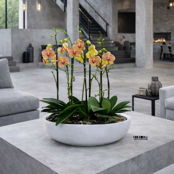Yellow orchid arrangement in a white bowl planter on a concrete table