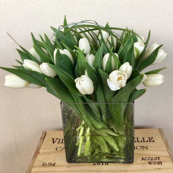 White tulips arranged in a square glass vase