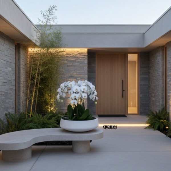 White orchids in a low white planter outside a modern home
