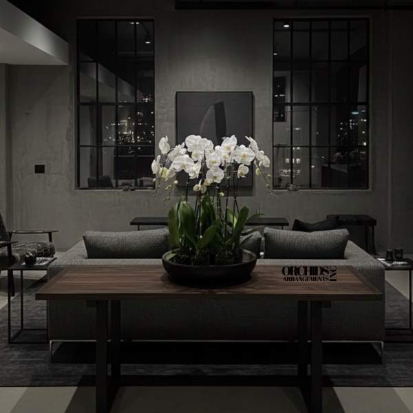 White orchids in a low black planter on a table