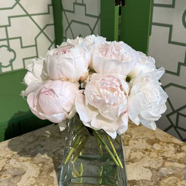 White and pale pink peonies arranged in a clear glass vase