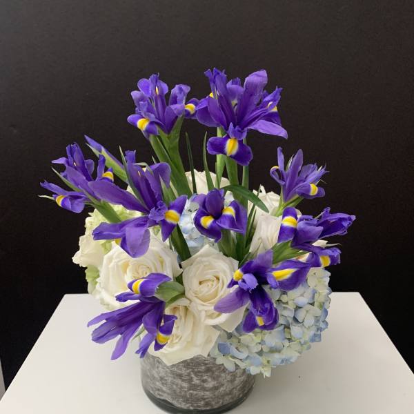 Love Blue