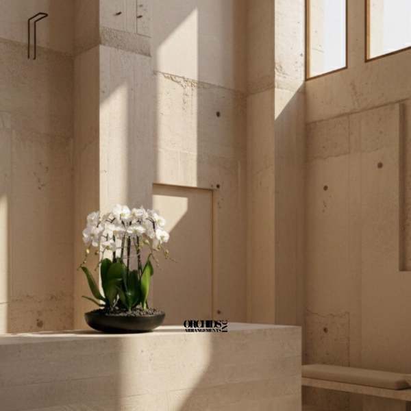 White orchid arrangement in a shallow black bowl
