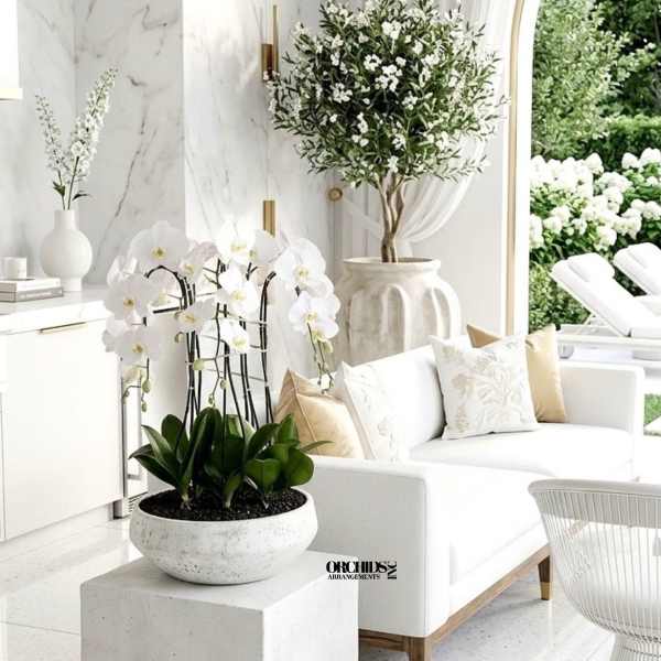 Expressive Orchid Miami