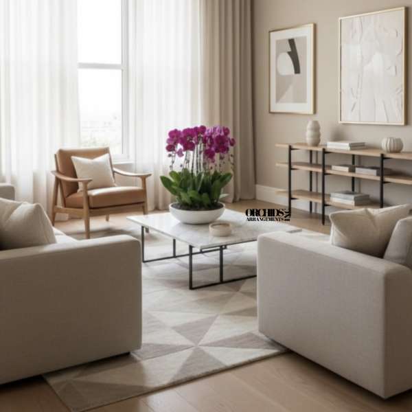 Potted purple orchids on a coffee table in a modern living room