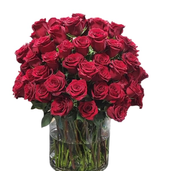 100 roses of love