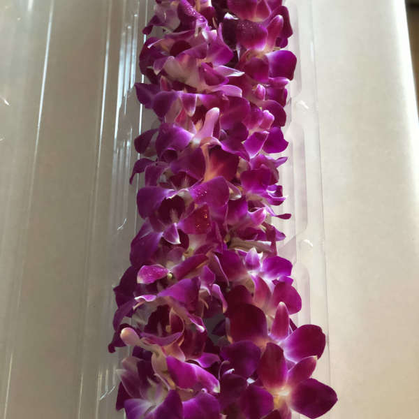 Purple orchid lei in clear plastic packaging