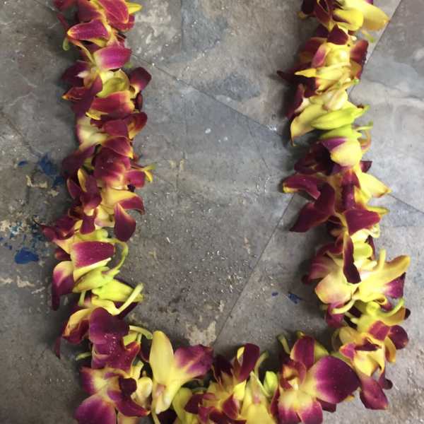 Mix color lei