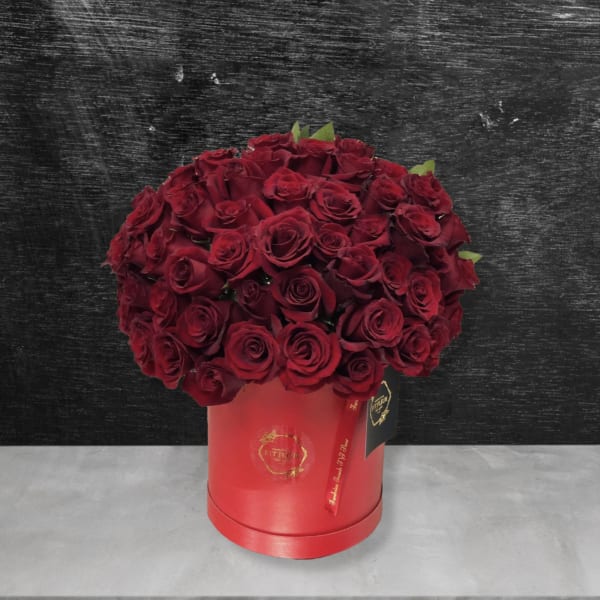 Red Heart Kisses