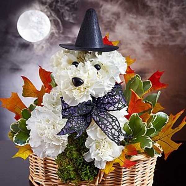 Witchy Pup