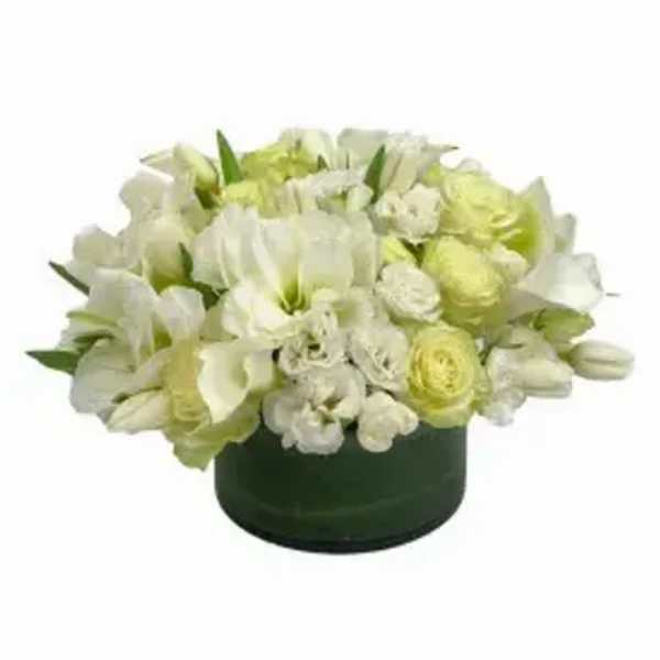 White and pale green floral arrangement in a dark green vase