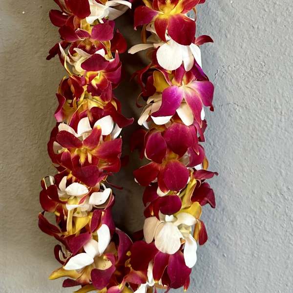 Two orchid leis in red, white, and yellow hang against a wall.