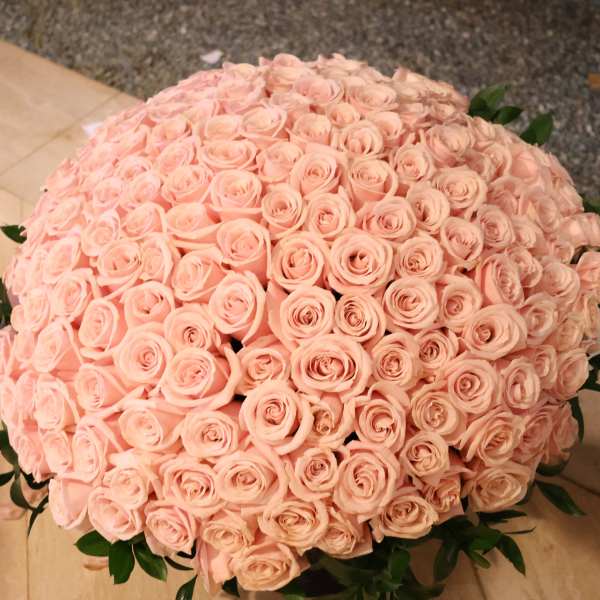 200 pink obsession