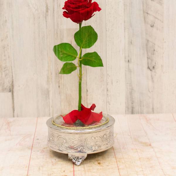 Forever roses