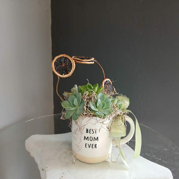 Best Mom Ever Succulent with Dried Oranges
