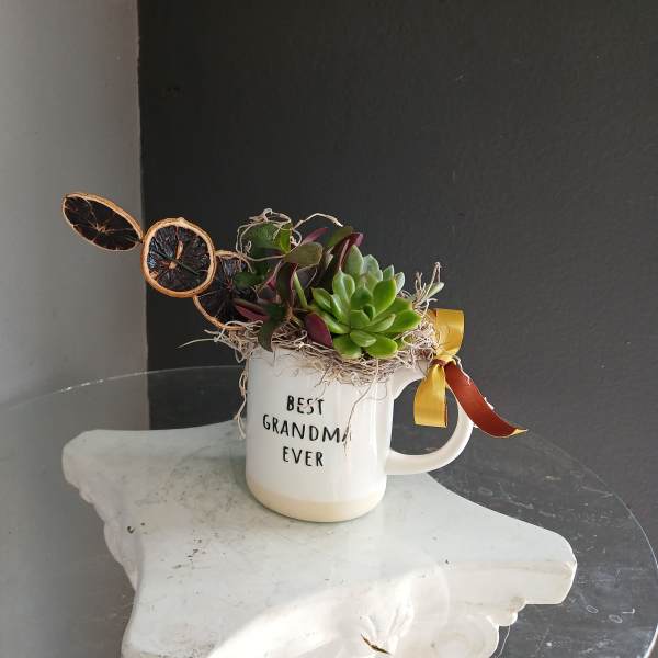 Best Grandma Ever Succulent with Oranges