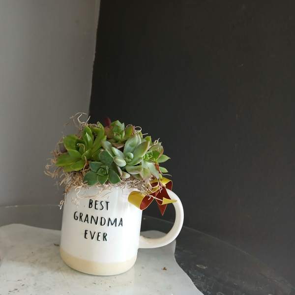 Best Grandma Ever Succulent