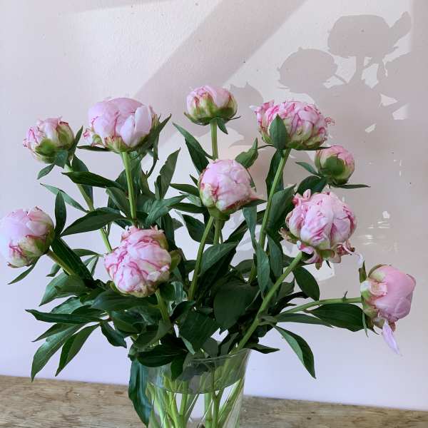 Pink peony stems in a clear glass vase