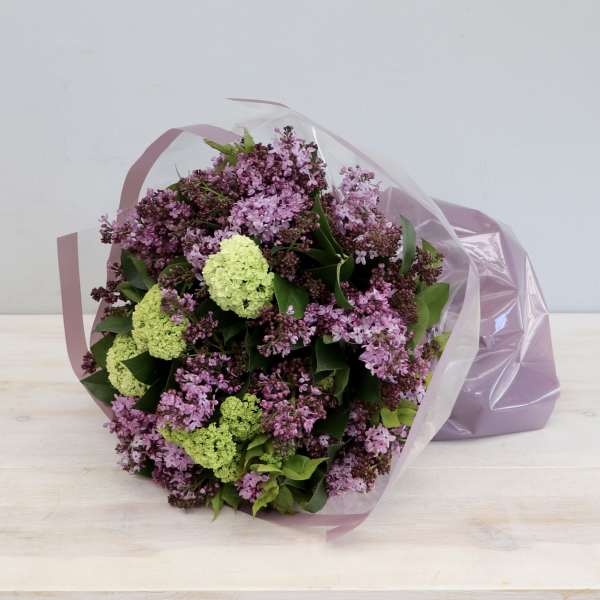 Bouquet of purple lilacs with green hydrangea in pink wrap