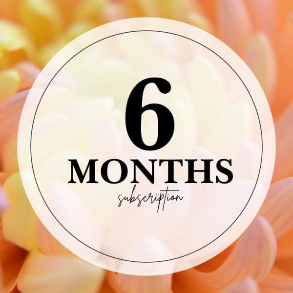 Round label reading "6 MONTHS subscription" over a blurred floral background