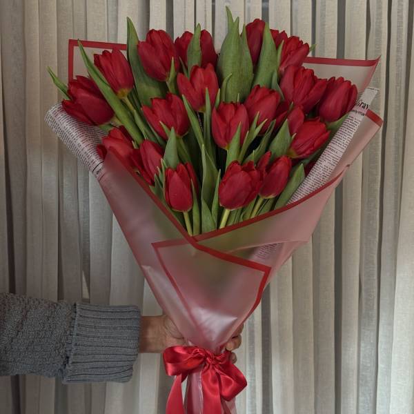 Handheld bouquet of red tulips wrapped in pink paper with a red ribbon