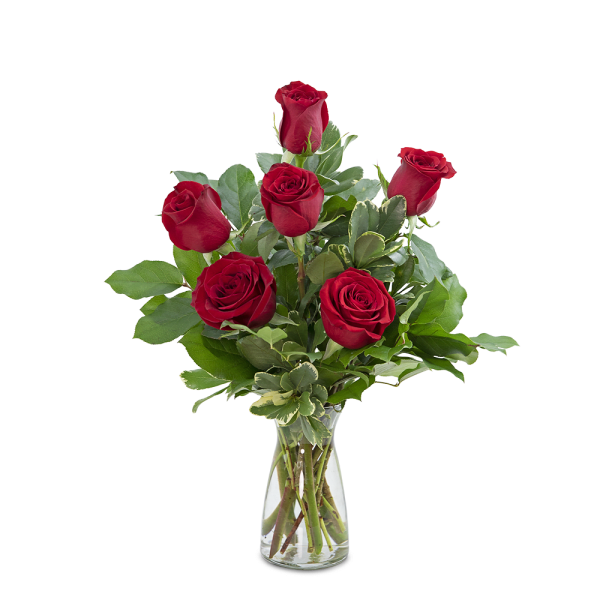 Red Roses (6)