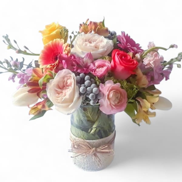 Pastel Cutie Designer's Choice