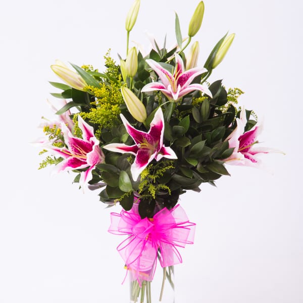Lovely Lilies