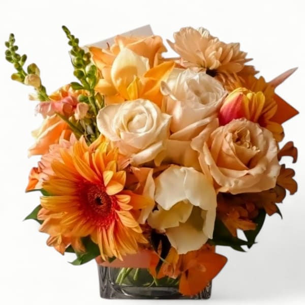 Orange Peach Beauty Designer's Choice