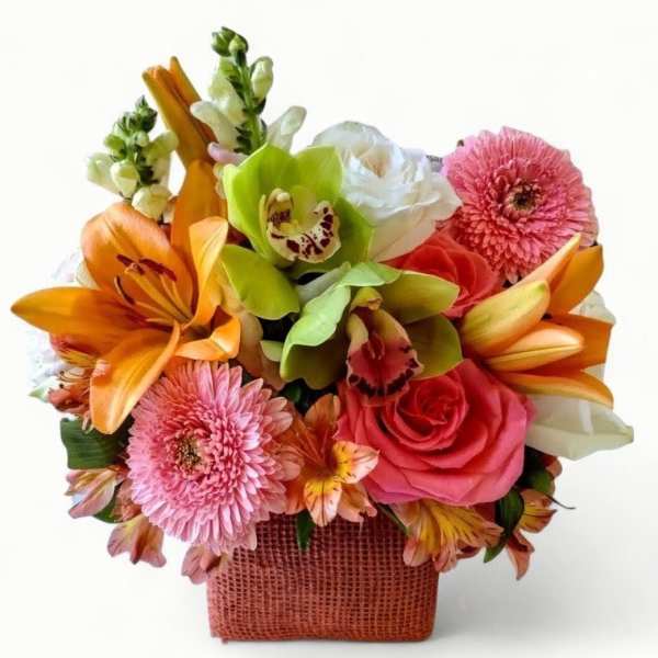Citrus Peach Beauty Designer's Choice