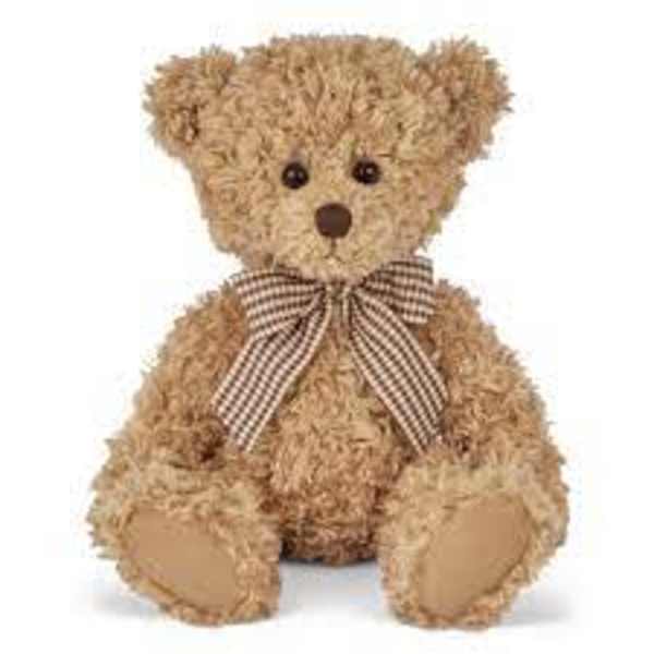 Brown plush teddy bear with curly fur and a checked bow sits against a white background