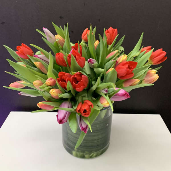 Bouquet of multicolored tulips in a glass vase