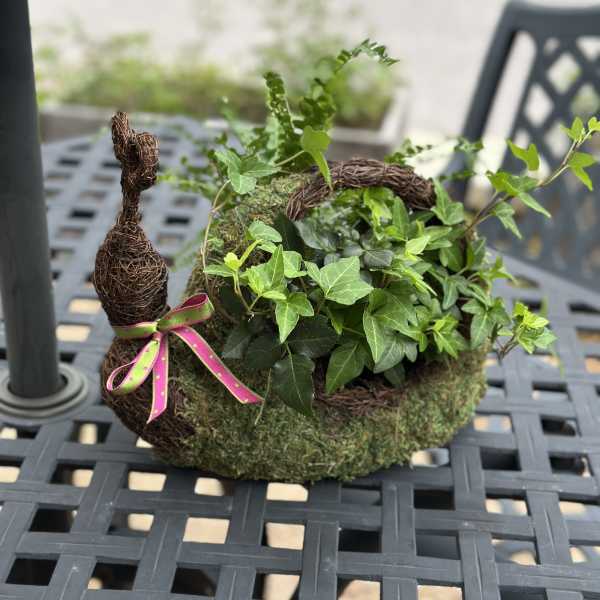 Patio Pal
