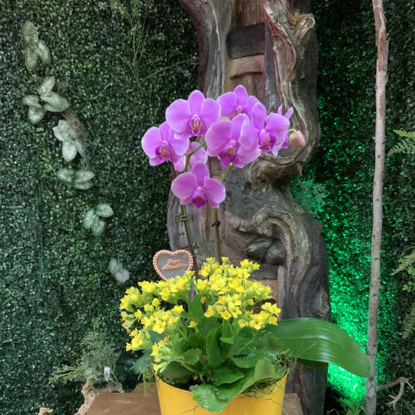 With Love
