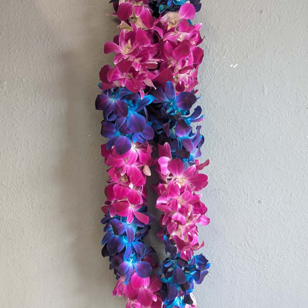Two-tone orchid lei in pink, purple, and blue