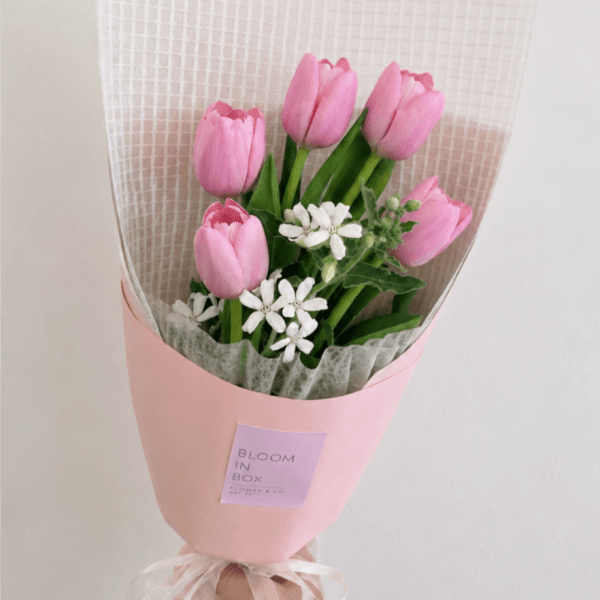 Pink tulip bouquet with small white flowers wrapped in pink paper