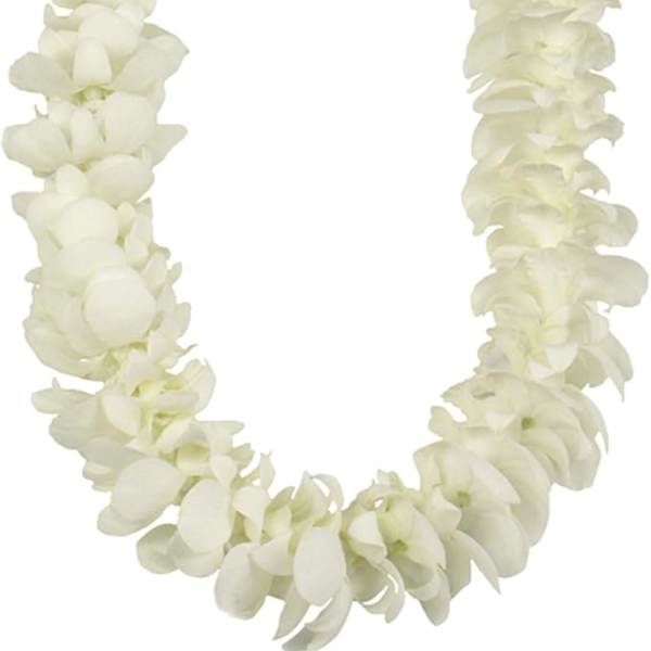 White Orchid Lei