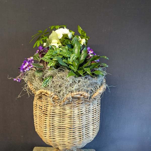 Happy Blooms Plant Urn
