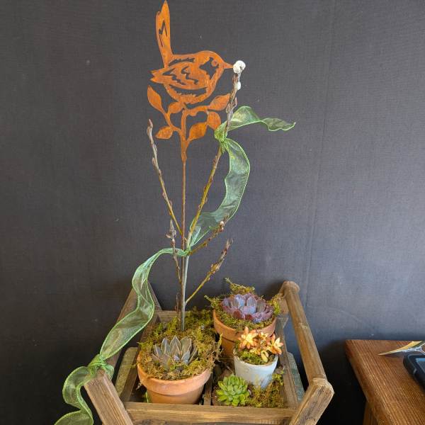 Succulent Garden Box