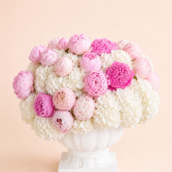 Peony Cloud