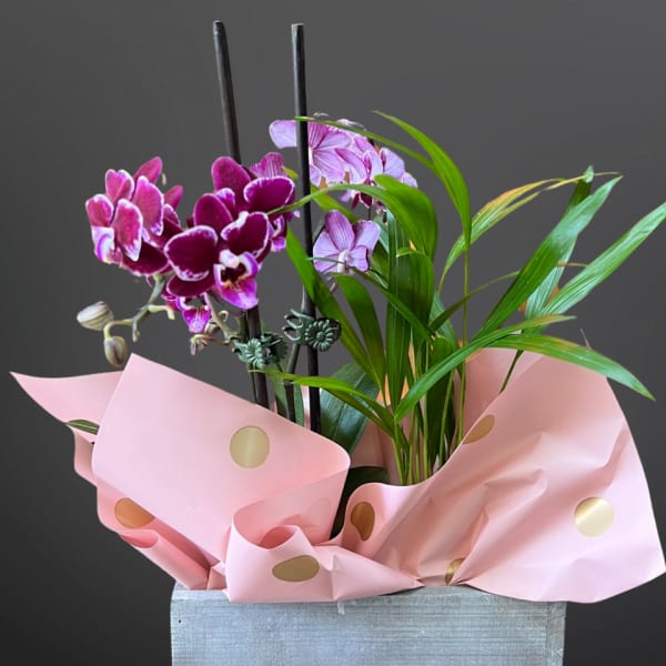 Love's Garden