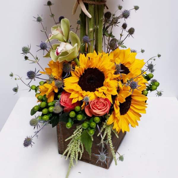 Sunflower Love 2